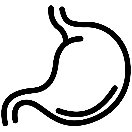 Digestive Support Icon